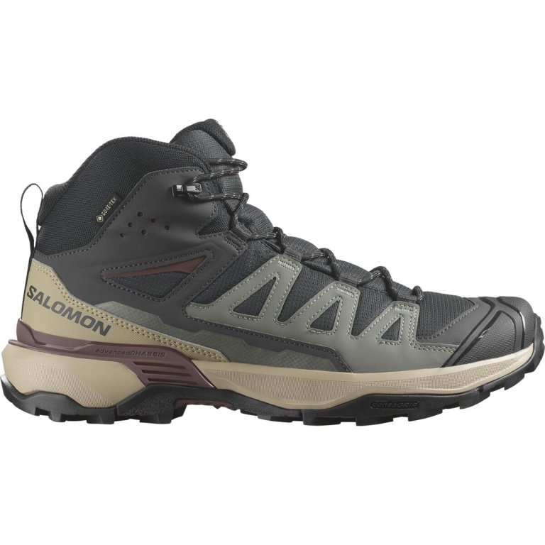 Взуття Salomon X Ultra 360 Mid GTX M - чорний/сірий/бежевий