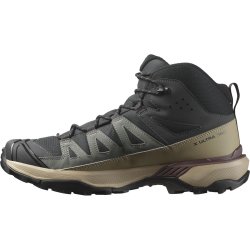 Взуття Salomon X Ultra 360 Mid GTX M - чорний/сірий/бежевий