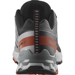Кросівки Salomon Xa Pro 3D V9 M - сірий/червоний