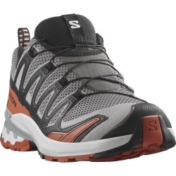 Кросівки Salomon Xa Pro 3D V9 M - сірий/червоний