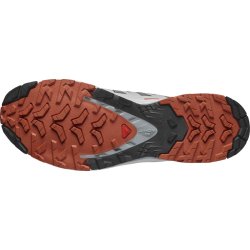 Кросівки Salomon Xa Pro 3D V9 M - сірий/червоний