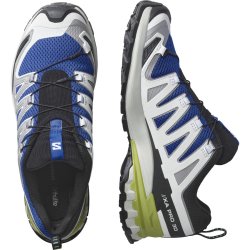 Взуття Salomon Xa Pro 3D V9 M - сірий/синій