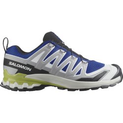 Взуття Salomon Xa Pro 3D V9 M - сірий/синій