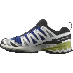 Взуття Salomon Xa Pro 3D V9 M - сірий/синій