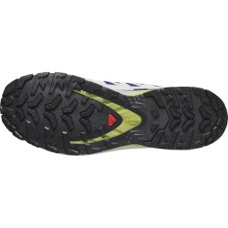 Взуття Salomon Xa Pro 3D V9 M - сірий/синій