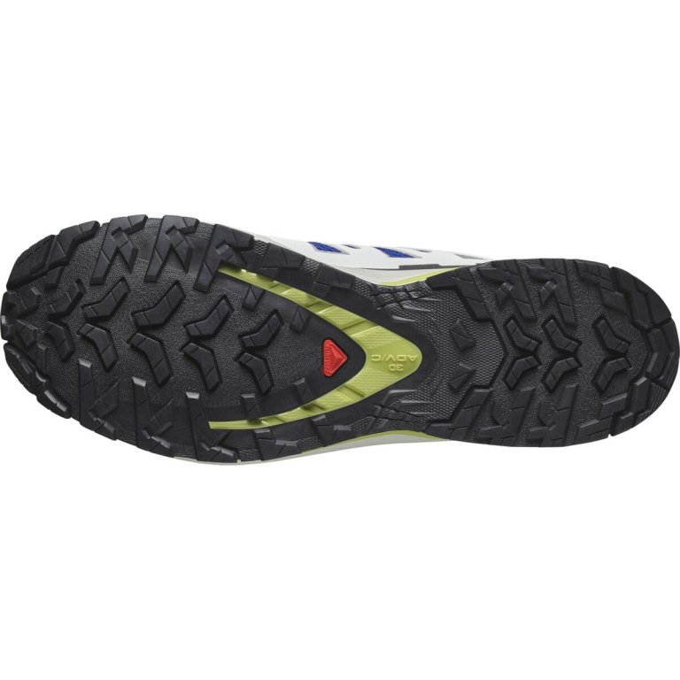 Взуття Salomon Xa Pro 3D V9 M - сірий/синій