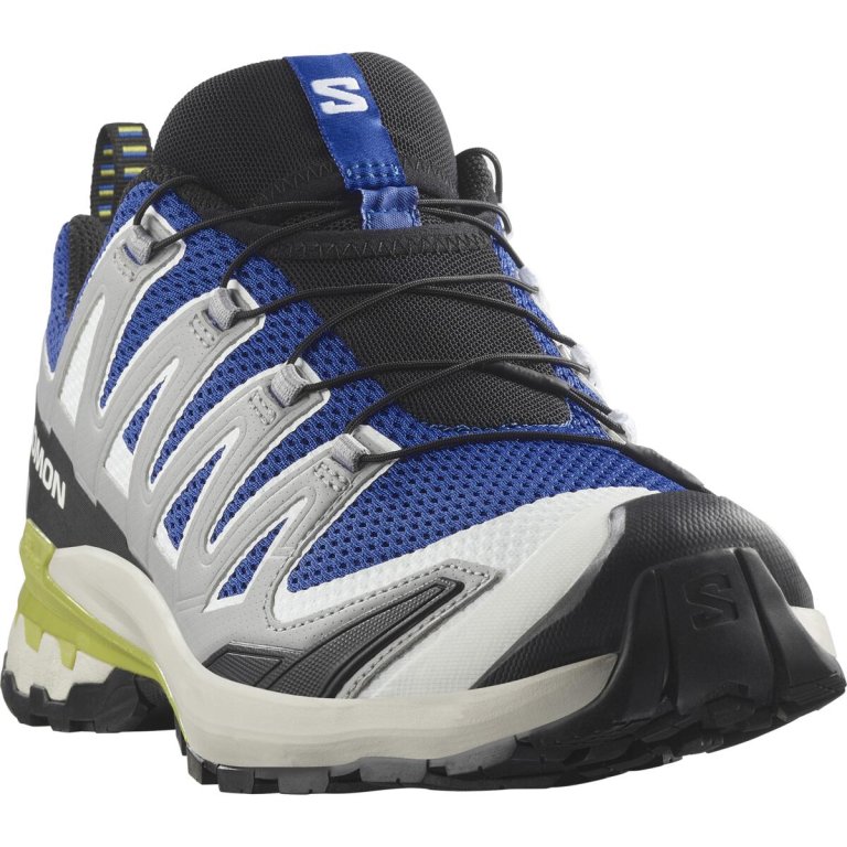Взуття Salomon Xa Pro 3D V9 M - сірий/синій