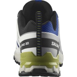 Взуття Salomon Xa Pro 3D V9 M - сірий/синій