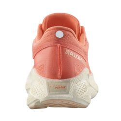 Кросівки Salomon Aero Glide 3 W - оранжевий/бежевий