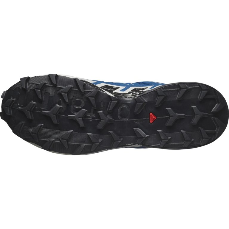 Кросівки Salomon Speedcross 6 GTX M - сині