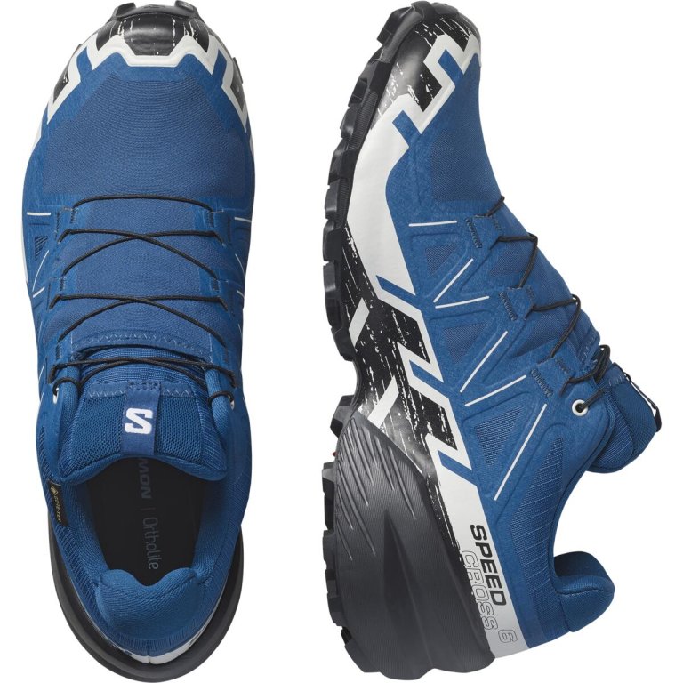 Кросівки Salomon Speedcross 6 GTX M - сині