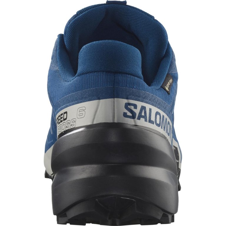 Кросівки Salomon Speedcross 6 GTX M - сині