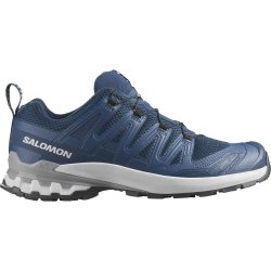 Кросівки Salomon Xa Pro 3D V9 M - сині