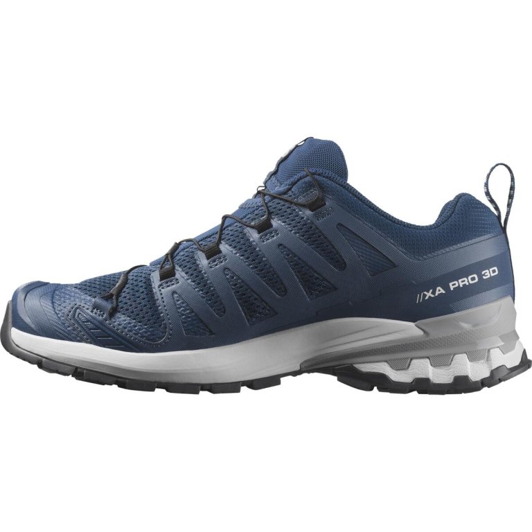 Кросівки Salomon Xa Pro 3D V9 M - сині
