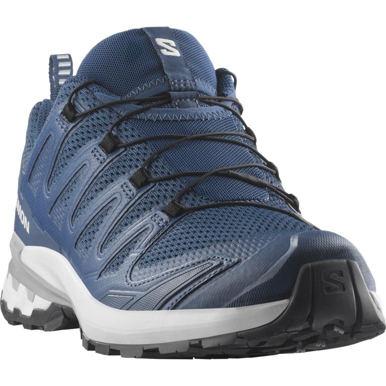 Кросівки Salomon Xa Pro 3D V9 M - сині