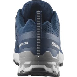 Кросівки Salomon Xa Pro 3D V9 M - сині