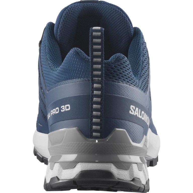 Кросівки Salomon Xa Pro 3D V9 M - сині