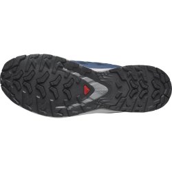 Кросівки Salomon Xa Pro 3D V9 M - сині