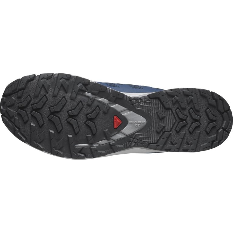 Кросівки Salomon Xa Pro 3D V9 M - сині