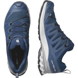 Кросівки Salomon Xa Pro 3D V9 M - сині