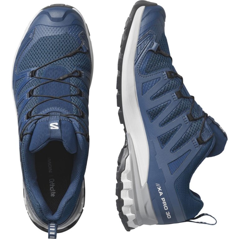 Кросівки Salomon Xa Pro 3D V9 M - сині