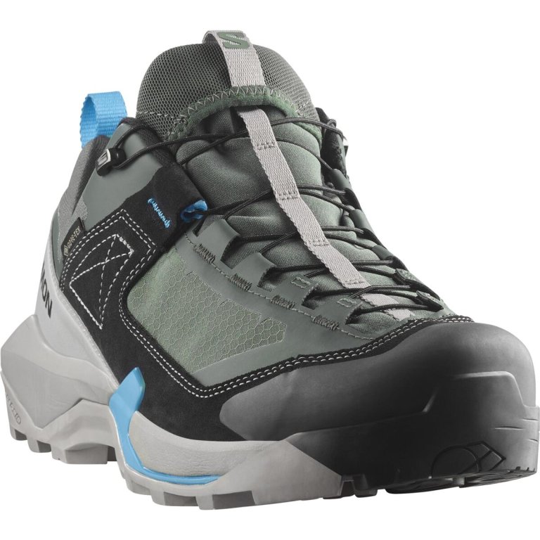 Взуття Salomon X Ultra Alpine GTX M - сіро/синьо/зелені