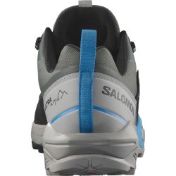 Взуття Salomon X Ultra Alpine GTX M - сіро/синьо/зелені