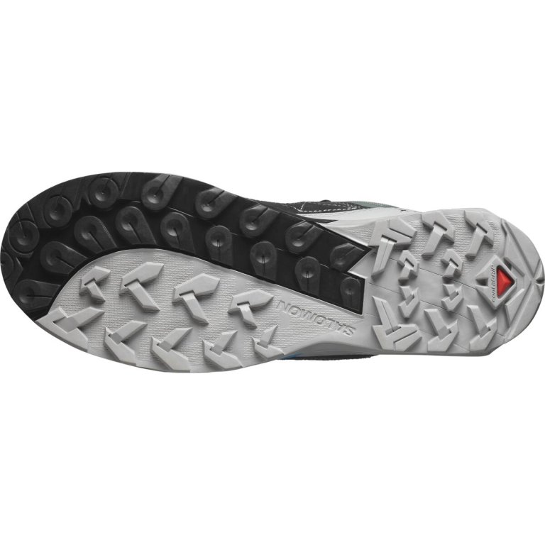 Взуття Salomon X Ultra Alpine GTX M - сіро/синьо/зелені