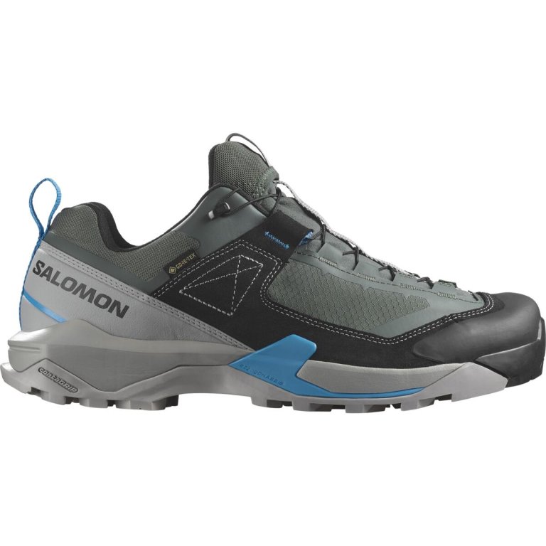Взуття Salomon X Ultra Alpine GTX M - сіро/синьо/зелені