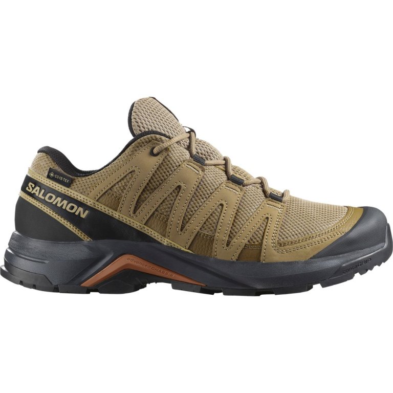 ВзуттяSalomon X-Adventure Recon GTX M - коричневе
