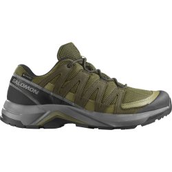 Взуття Salomon X-Adventure Recon GTX M - зелене