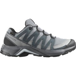 Взуття Salomon X-Adventure Recon GTX W - сіре