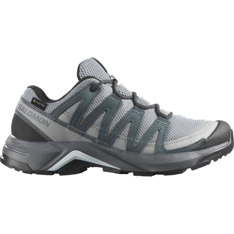 Взуття Salomon X-Adventure Recon GTX W - сіре