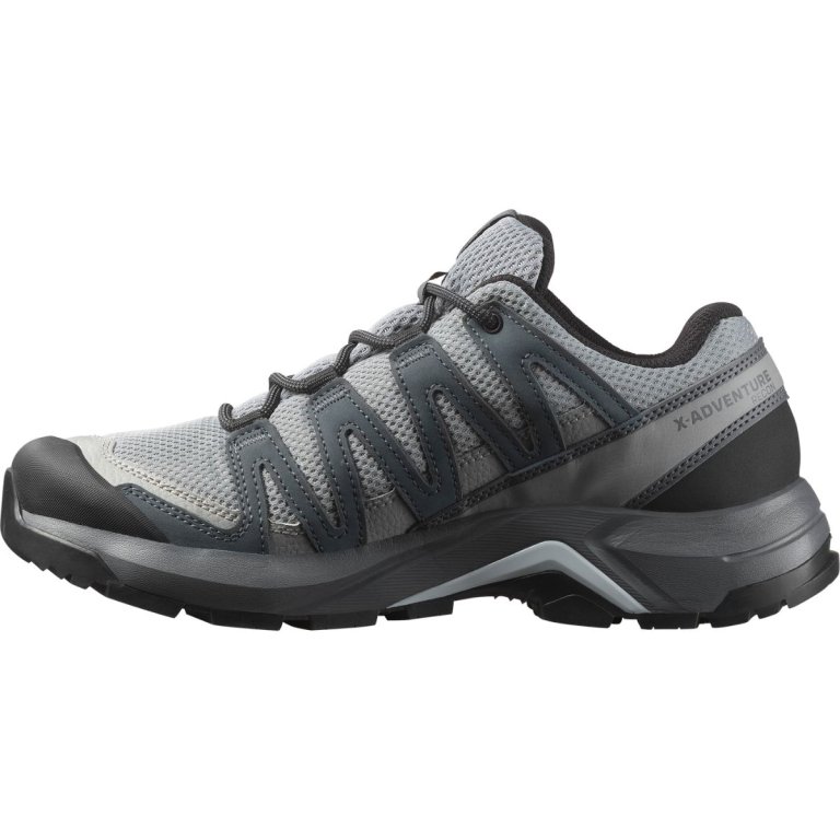 Взуття Salomon X-Adventure Recon GTX W - сіре