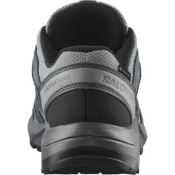 Взуття Salomon X-Adventure Recon GTX W - сіре