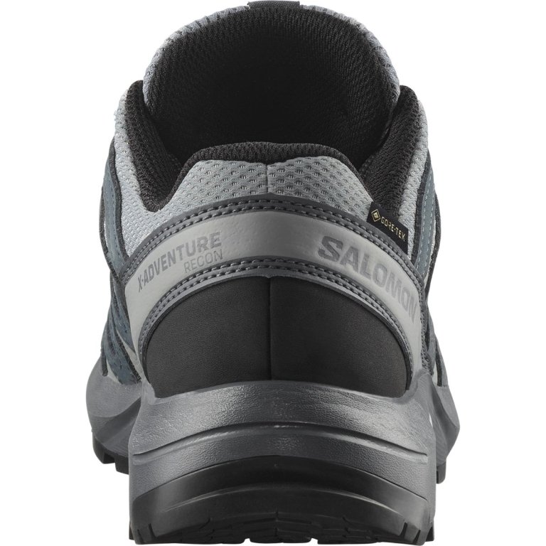 Взуття Salomon X-Adventure Recon GTX W - сіре