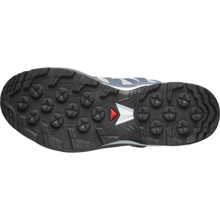 Взуття Salomon X-Adventure Recon GTX W - сіре