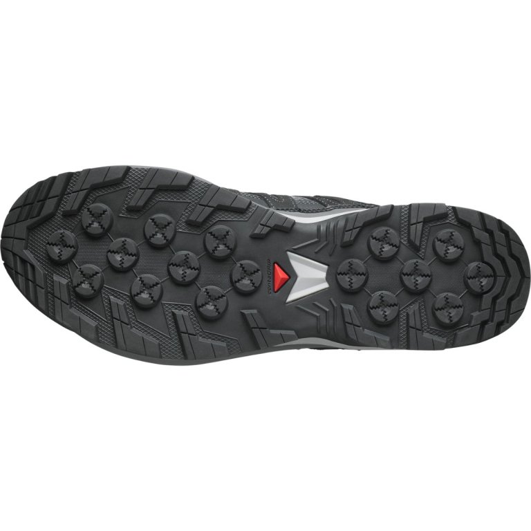 Взуття Salomon X-Adventure Recon M - сіре