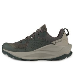 Взуття Salomon Elixir GTX W - зелений