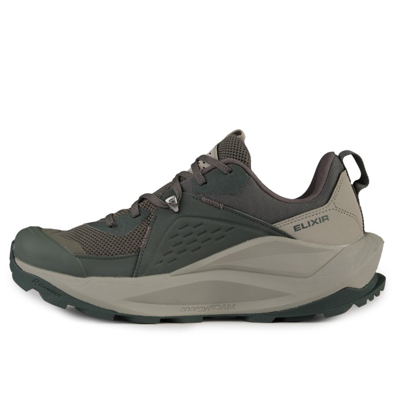 Взуття Salomon Elixir GTX W - зелений