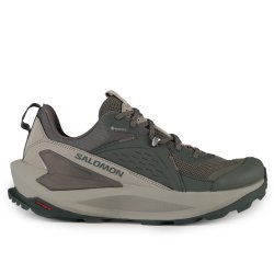Взуття Salomon Elixir GTX W - зелений