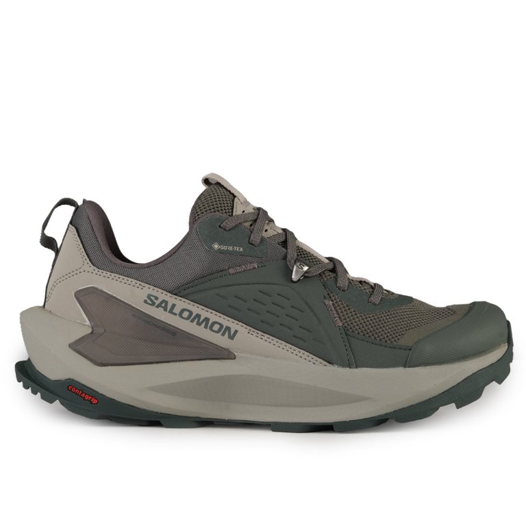 Взуття Salomon Elixir GTX W - зелений
