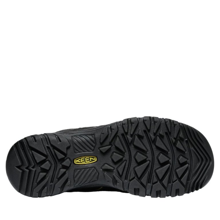 Взуття Keen Targhee IV Mid WP M - чорний