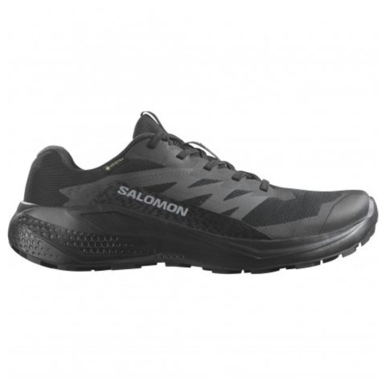 Кросівки Salomon Alphaglide GTX M - чорні