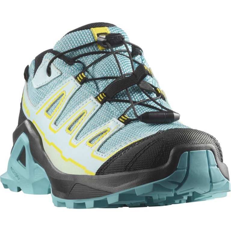 Взуття Salomon X Ultra GTX J - синьо/зелений
