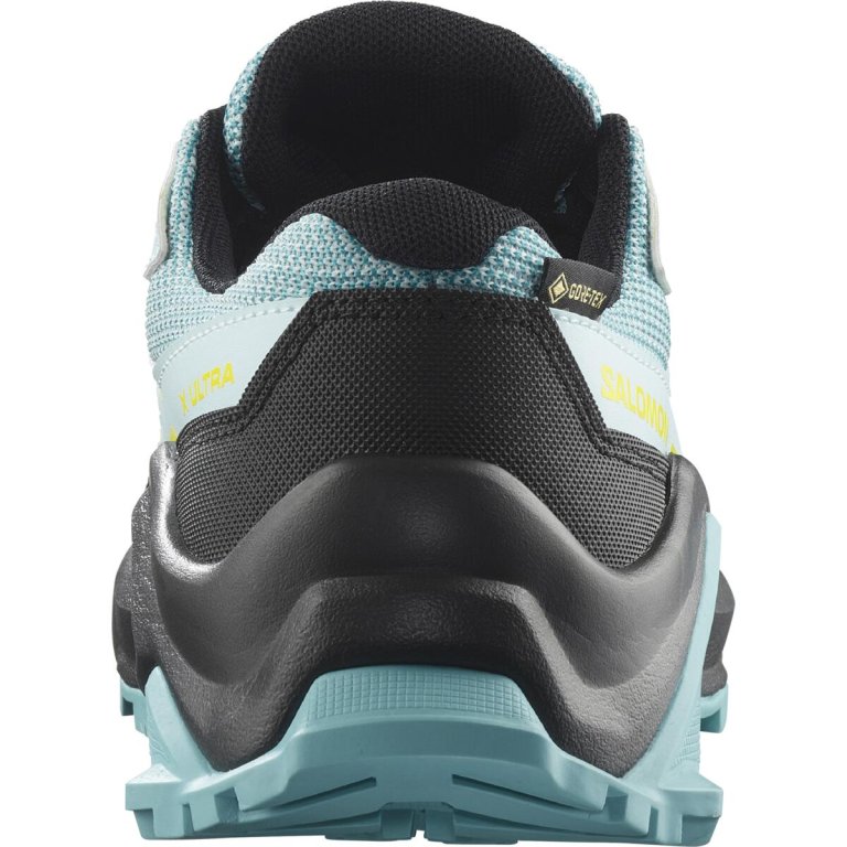 Взуття Salomon X Ultra GTX J - синьо/зелений