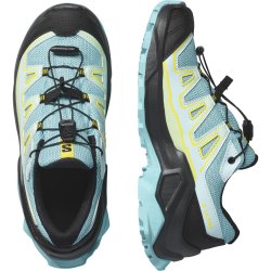 Взуття Salomon X Ultra GTX J - синьо/зелений