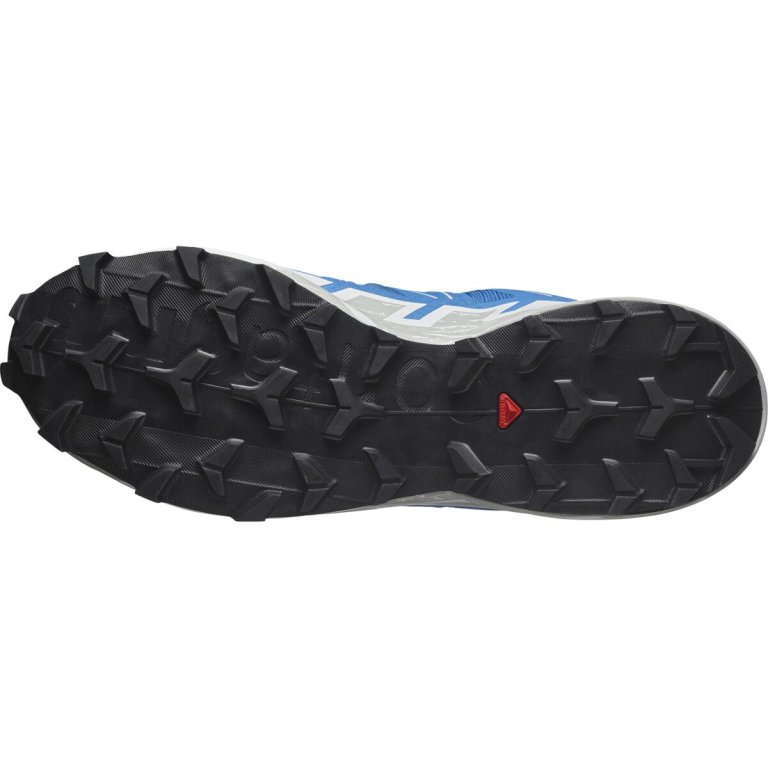 Кросівки Salomon Speedcross 6 M - синьо/білі