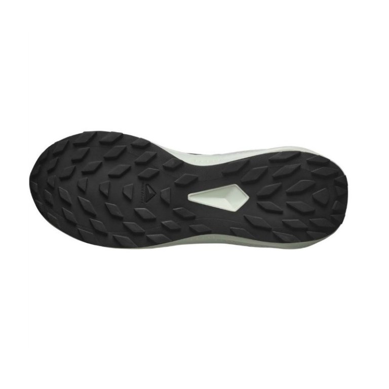 Кросівки Salomon Alphaglide M - чорно/білі