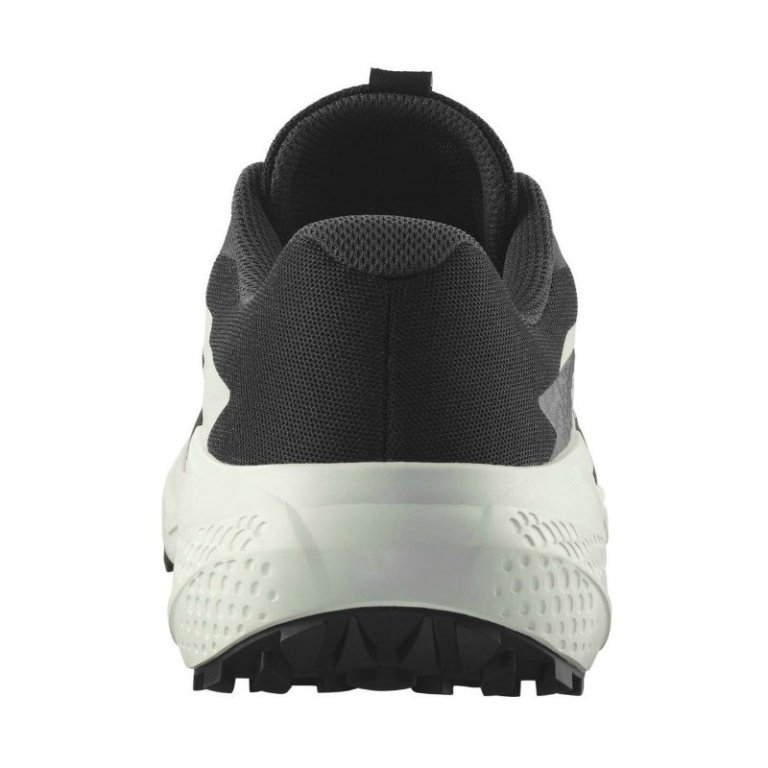 Кросівки Salomon Alphaglide M - чорно/білі
